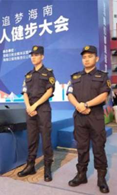 临时保卫