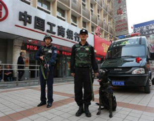 驻海口万绿园停车场安保服务